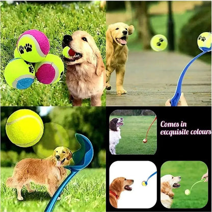 Ball Flinger For Pets