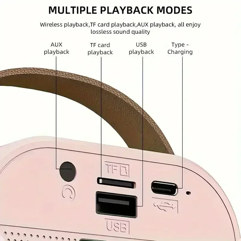 Portable Bluetooth Karaoke Machine