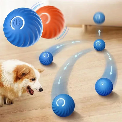 Zoomie Zone Smart Ball