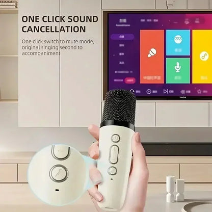 Portable Bluetooth Karaoke Machine