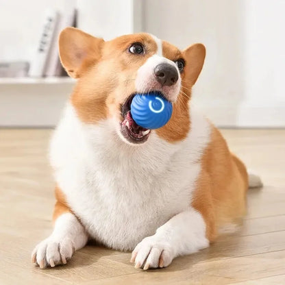 Zoomie Zone Smart Ball