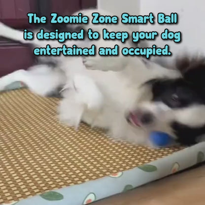 Zoomie Zone Smart Ball